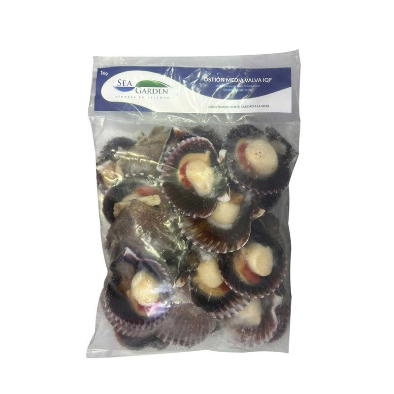 Ostion Media Concha Con Coral 1Kg