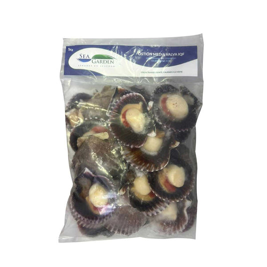 Ostion Media Concha Con Coral 1Kg